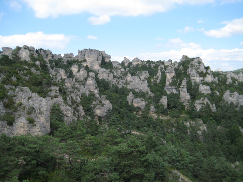 ../Images/2012-07-10-16h48m36 .jpg